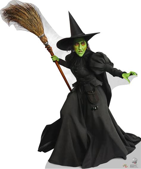 Eco friendly witch Wizard of Oz